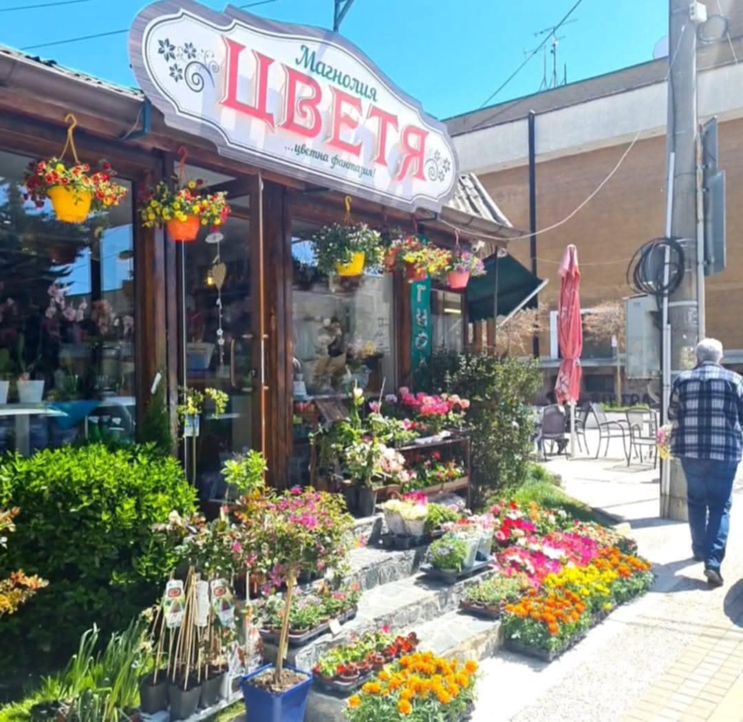 Магазин Магнолия в центъра на Самоков