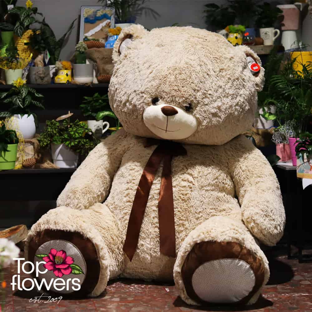 Голяма Плюшена Мечка Бежова