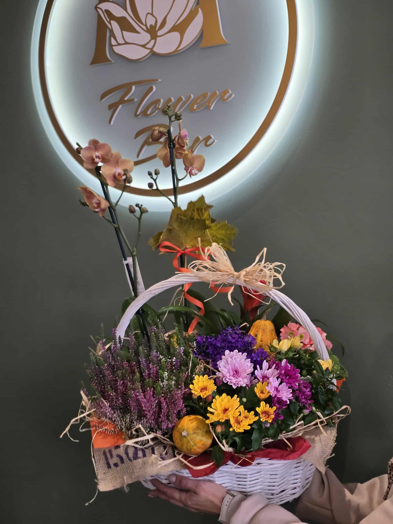 Орхидея Розова Premium